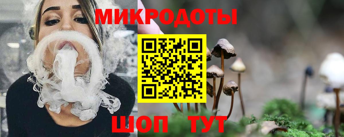 Псилоцибиновые грибы Psilocybe  Вход с VPN  Тайшет 